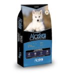 Alaska Cachorro