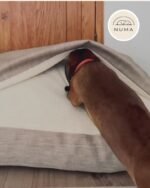 Camas Para Perros - Imagen 6