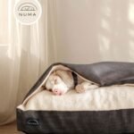 Camas Para Perros