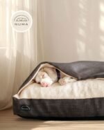 Camas Para Perros